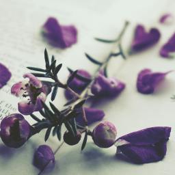 Poetry About Mental Illness Shattering Stigma Through Art